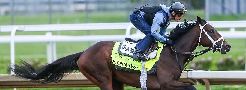 fierceness-horse-racing-usatsi