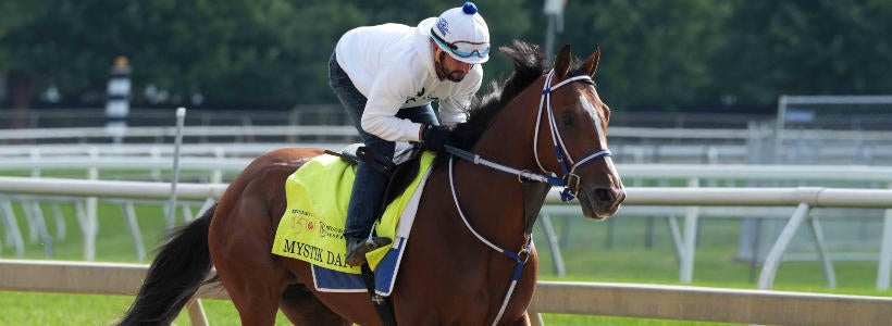 mystik-dan-preakness-warmup-sl-usatsi