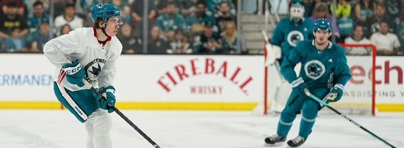 Fantasy Hockey Rankings: 2024-25 projections from proven computer model