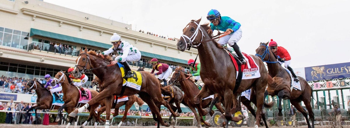gulfstream-horse-racing-usatsi