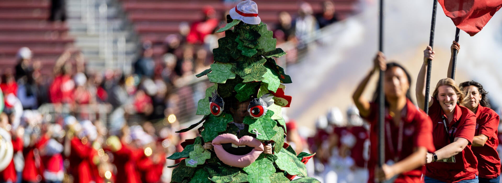 2025 College football win totals betting strategy: Expert shares insights and best bets