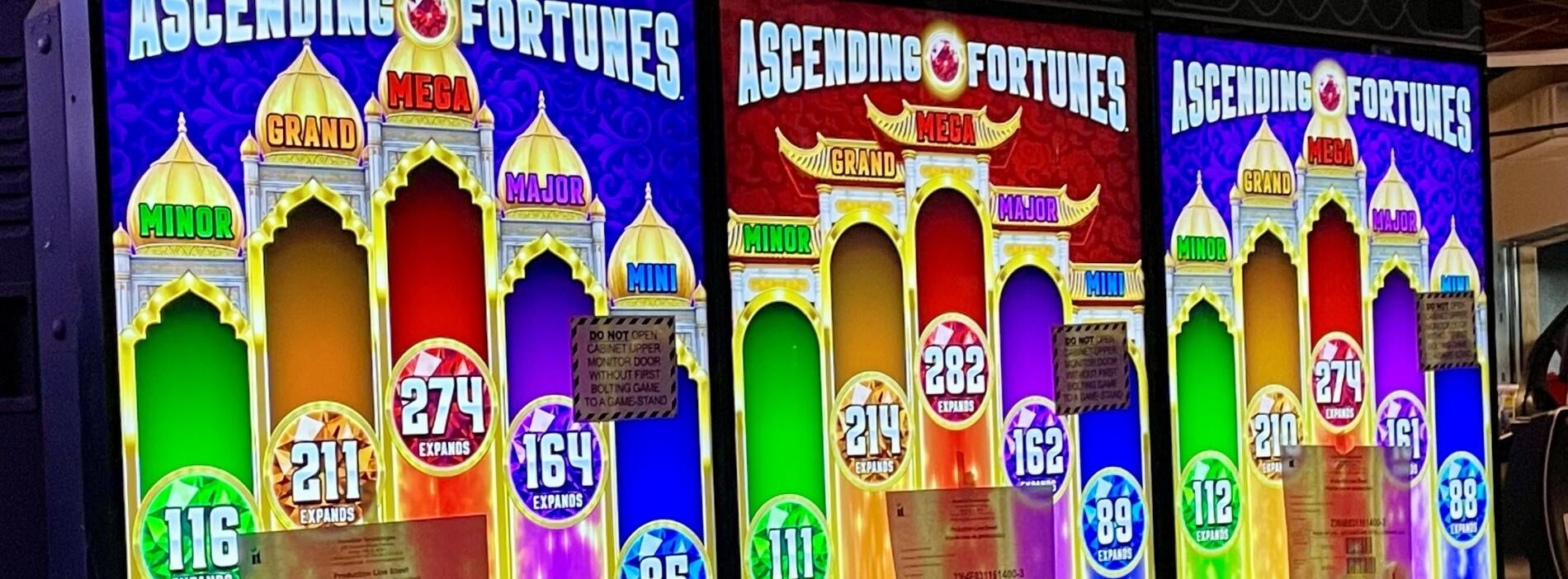 Exploring Casino Game Options