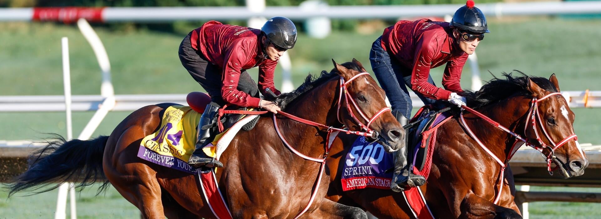 2026 Dubai World Cup picks, odds: Horse racing writer has best bet for Saturday's $12 million race