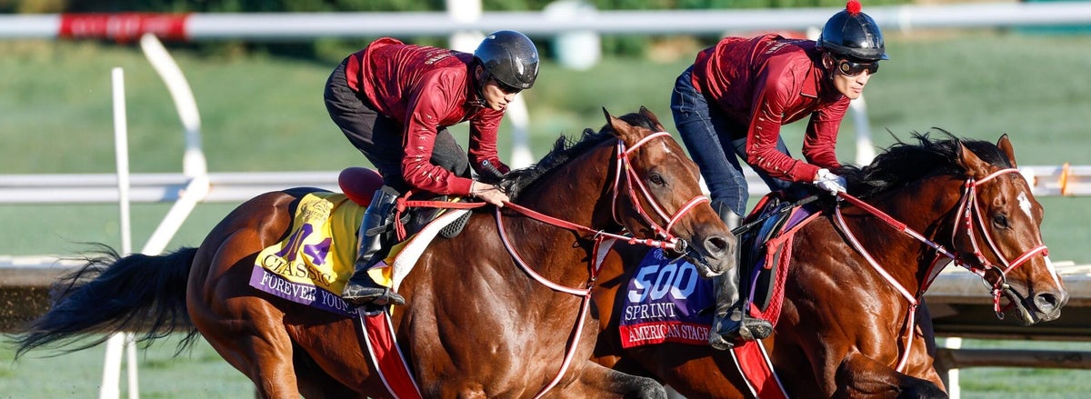 breeders-cup-classic-horse-racing-imagn-images