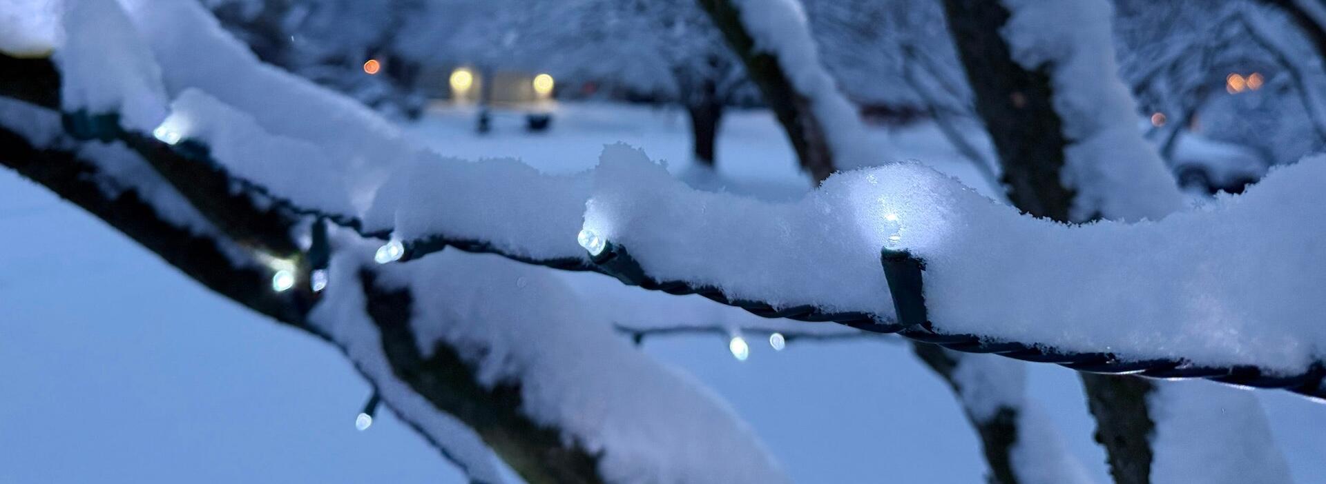 New Online Casino Games for December 2025 at FanDuel Casino, Fanatics Casino