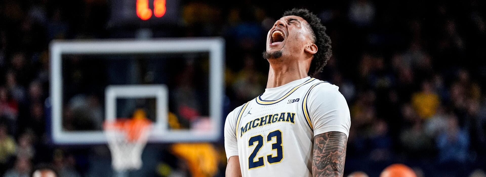 Michigan vs. UCLA odds, prediction: 2026 men's college basketball picks for Feb. 14 from proven model