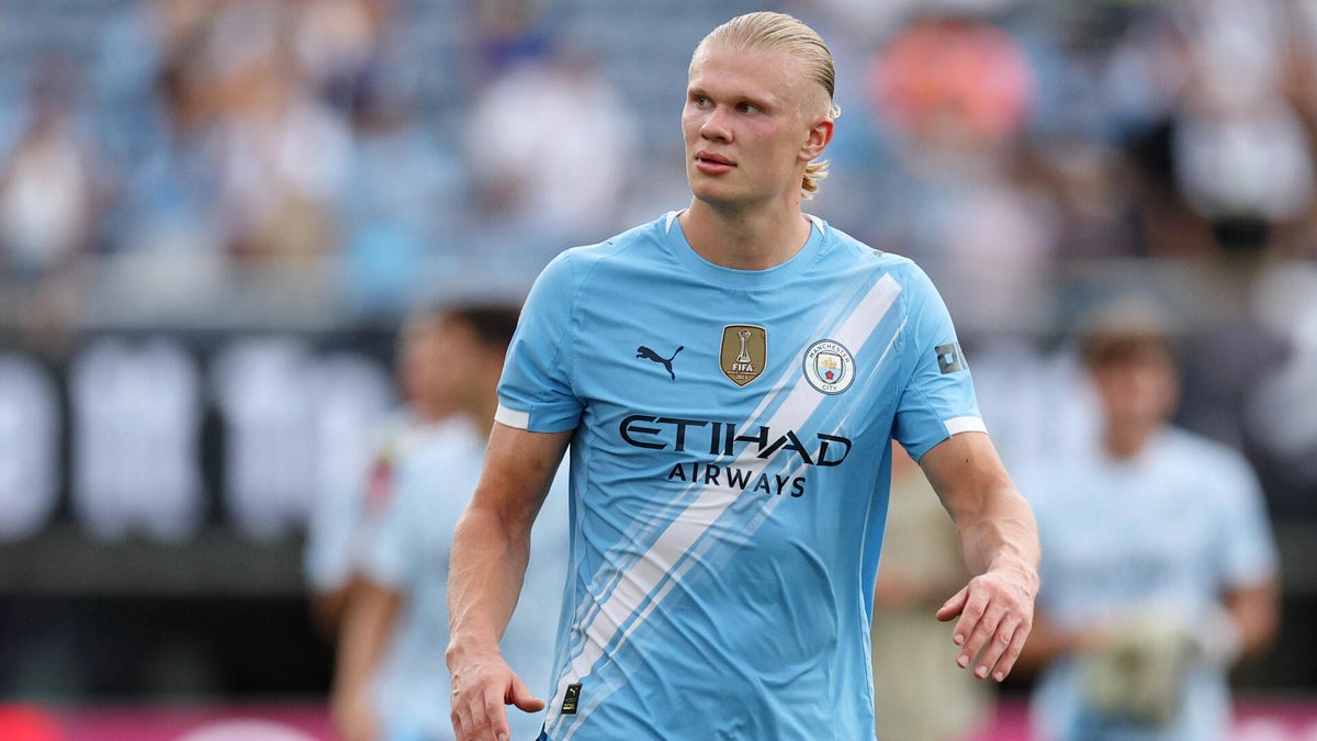 <p>Erling Haaland, Manchester City</p>