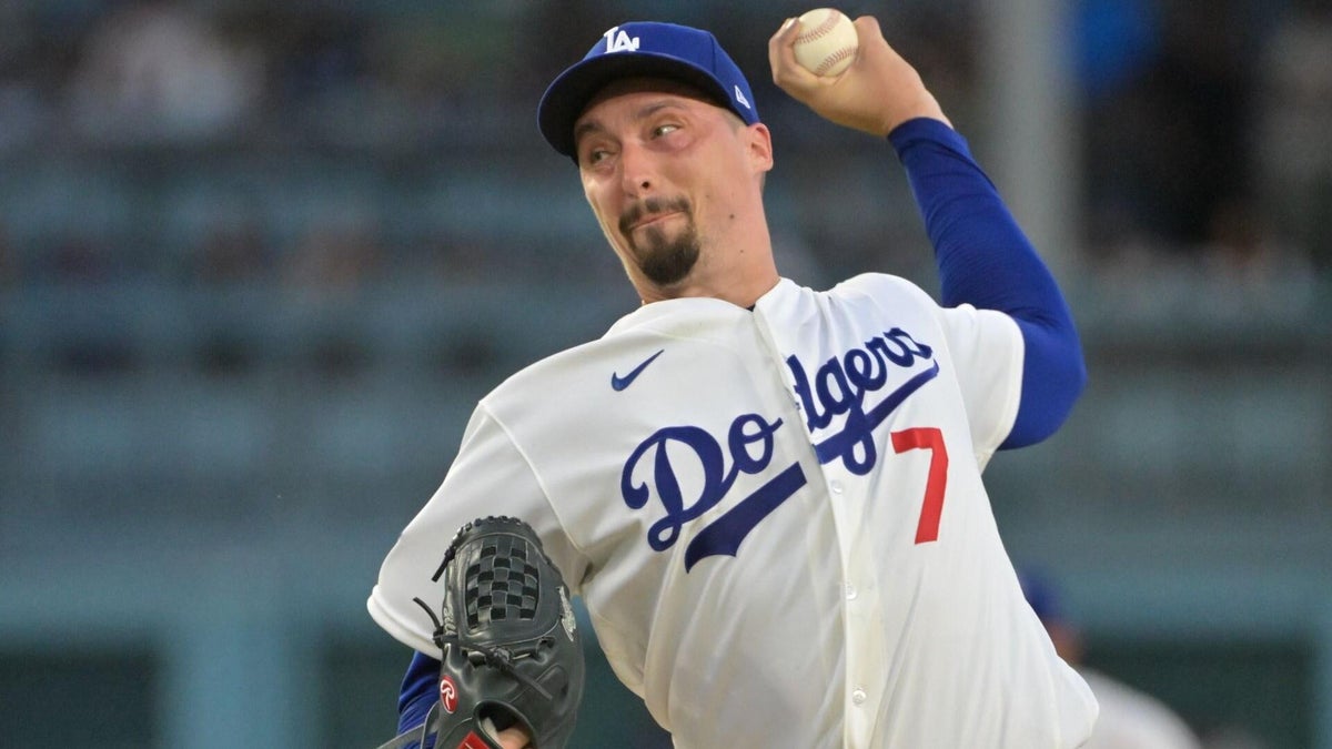 <p>Blake Snell</p>
