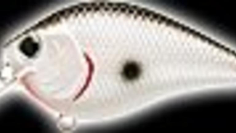 Leurre Lucky Craft Fat CB B.D.S. – Crankbait 1, Poisson Nageur Multicolore