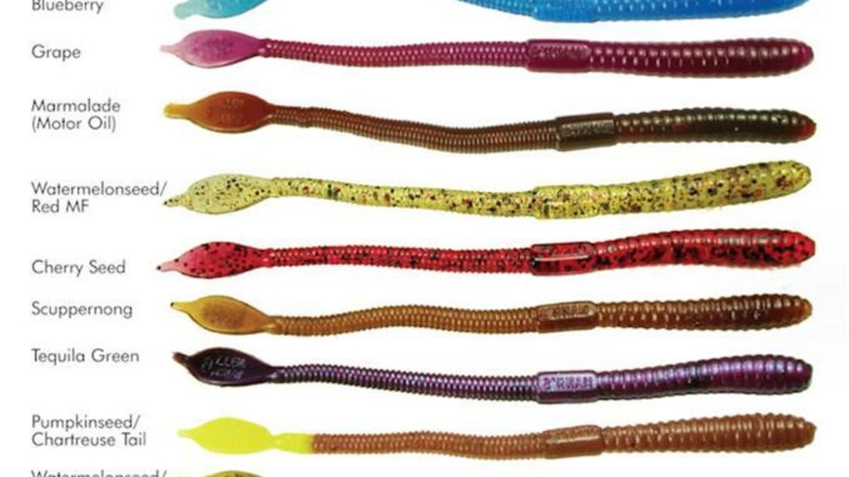 mann's jelly worm