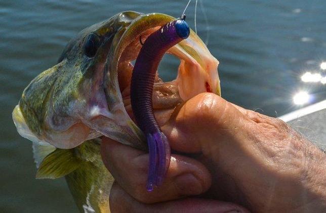 best ned rig rod