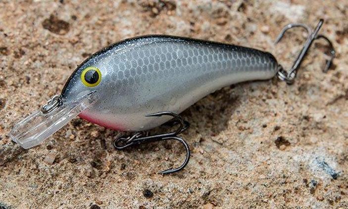 bluegill pattern crankbaits