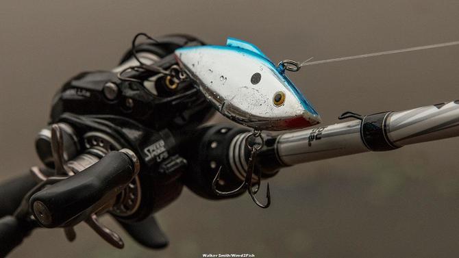 Bill Lewis Rat-L-Trap Review - Wired2Fish.com