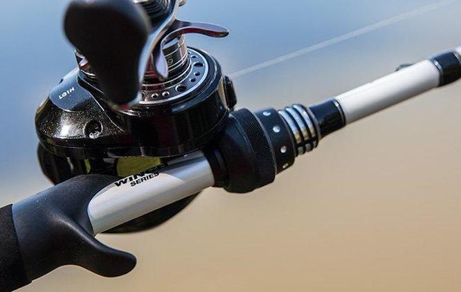 abu garcia veritas winch