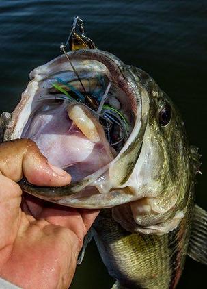 bass lures walmart