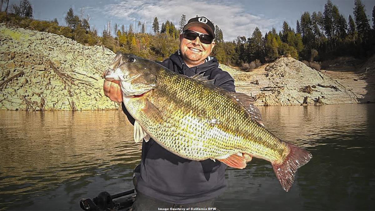 Record California Spotted Bass Caught Wired2fish Com