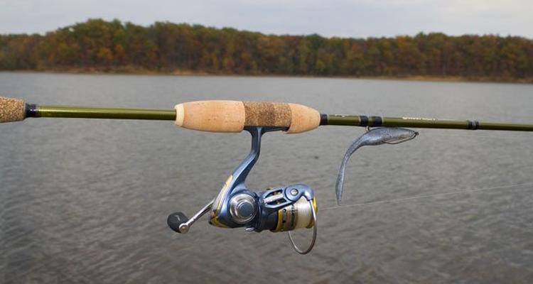 Fenwick smallmouth rod Clearance