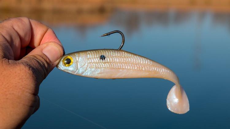 powerbait swim shad