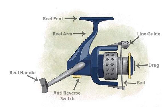 A Beginner S Guide To Bass Fishing Reels Wired Fish Com