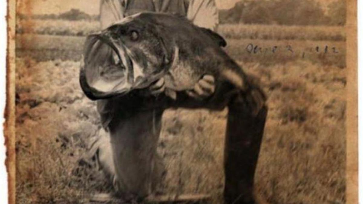 Why The Latest World Record Bass Photo Is Fake Wired2fish Com