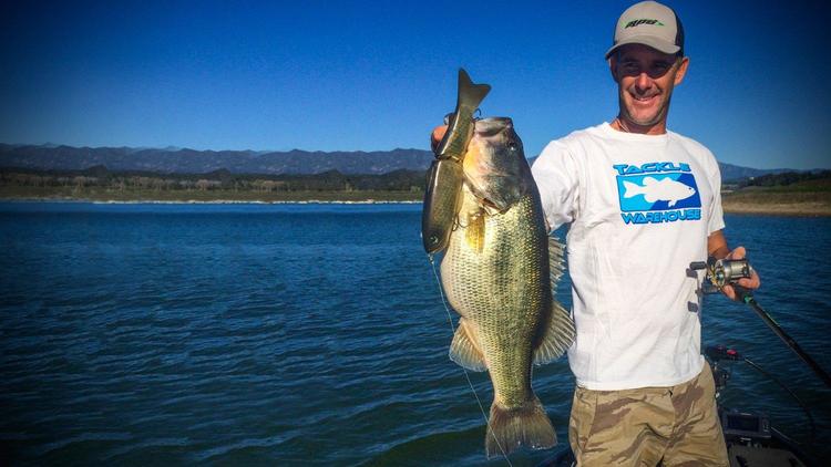 glide baits for bass