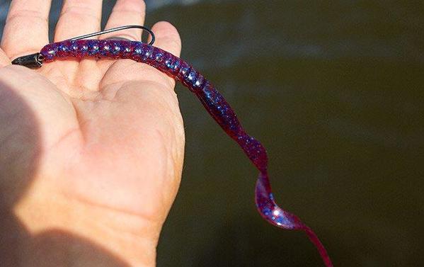 5 Must-Have Bank Fishing Baits - Wired2Fish.com