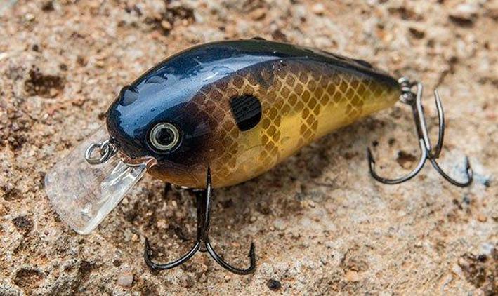 bluegill pattern crankbaits