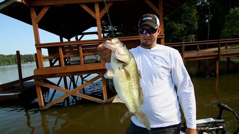 Late Summer Dock Fishing - Wired2Fish.com