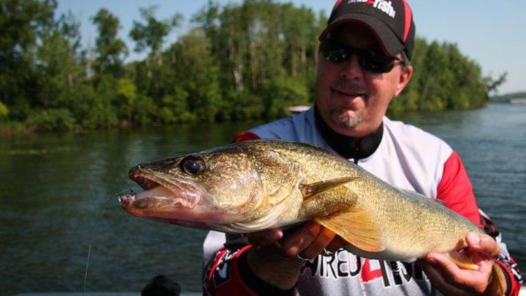 best soft plastic baits for walleye