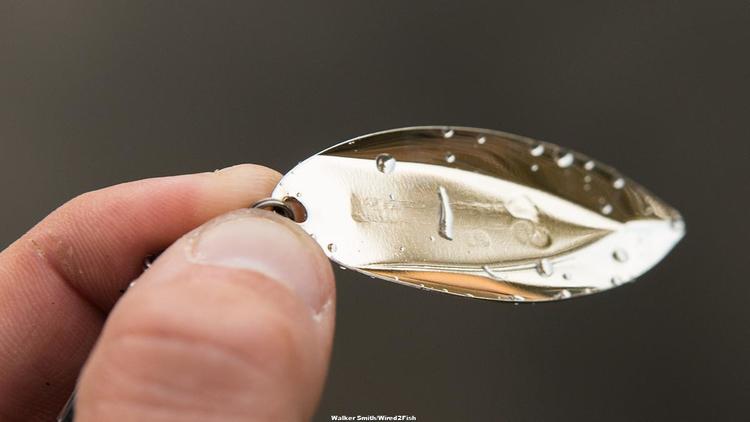 terminator t1 spinnerbait