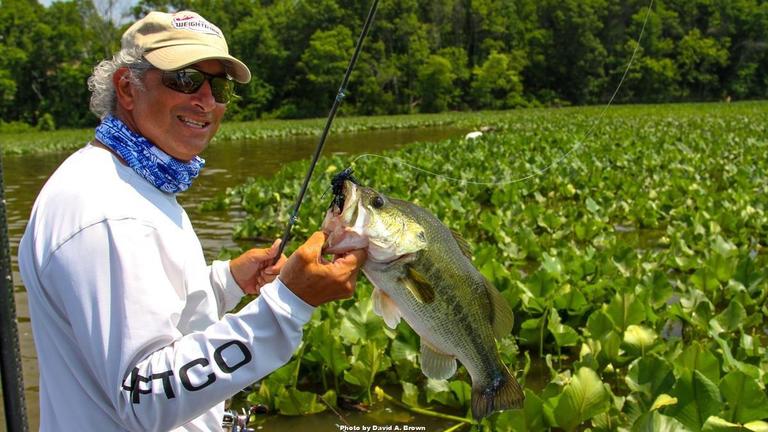 Plan An Attack for Lily Pad Bass This Spring - Wired2Fish.com