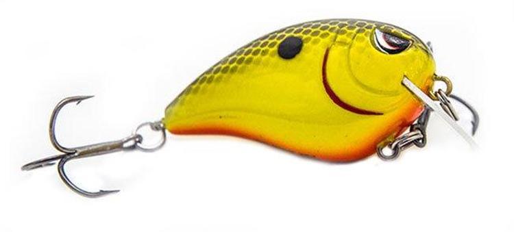 best bass lures for summer pond fishing
