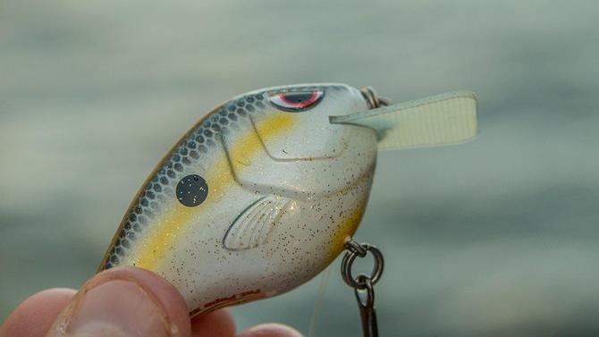 First Look: SPRO Fat Papa Squarebill - Wired2Fish.com