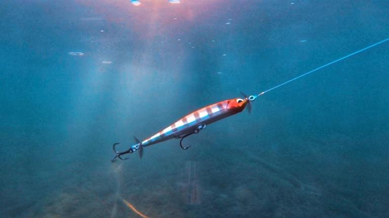 Image result for fishing bait underwater