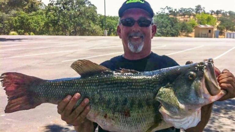 18 Pound Bass Caught In California Wired2fish Com