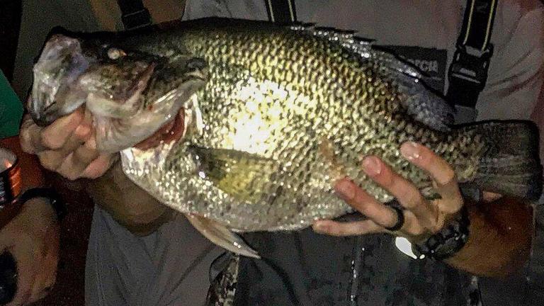 Tenn. State Record Black Crappie is New World Record Fish - Wired2Fish.com
