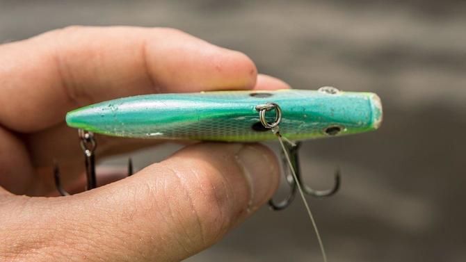 Berkley Warpig Lipless Crankbait Review - Wired2Fish.com