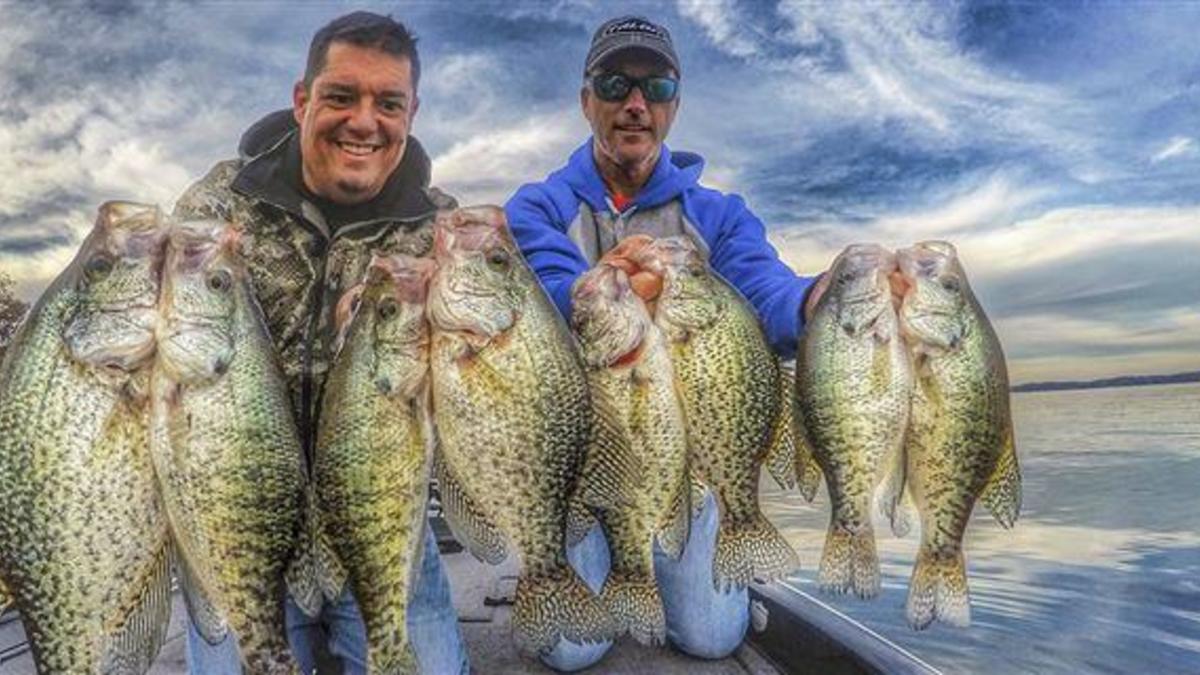 Crappie Slab Slanger Soft Plastic Grub Crappie Strike King Mr Panfish Lure