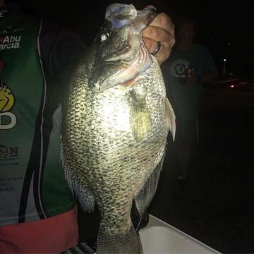 Tenn State Record Black Crappie Is New World Record Fish Wired2fish Com