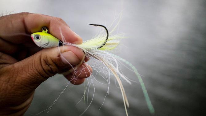 Jenko Fishing Big Wig Magnum Hair Jig Review - Wired2Fish.com