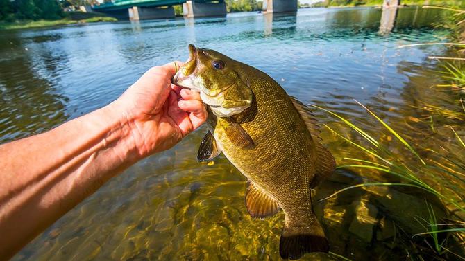 Bank Fishing for River or Stream Smallmouths - Wired2Fish.com
