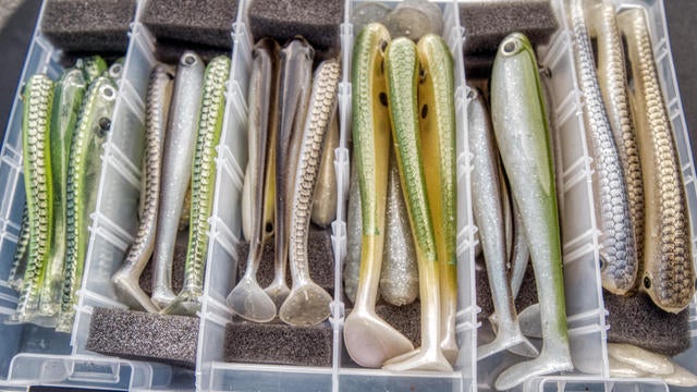 swimbait tackle box