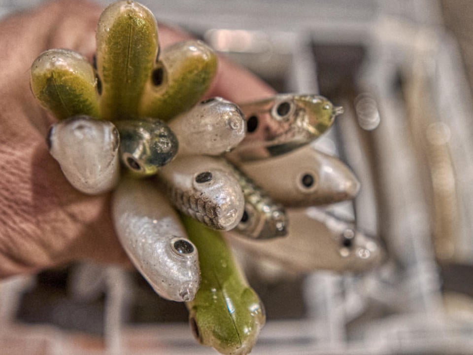 My Best Swimbait Storage Hack