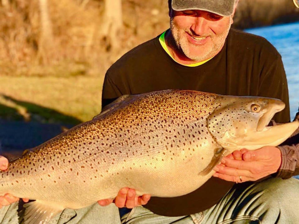 Angler Catches Missouri State Record Brown Trout