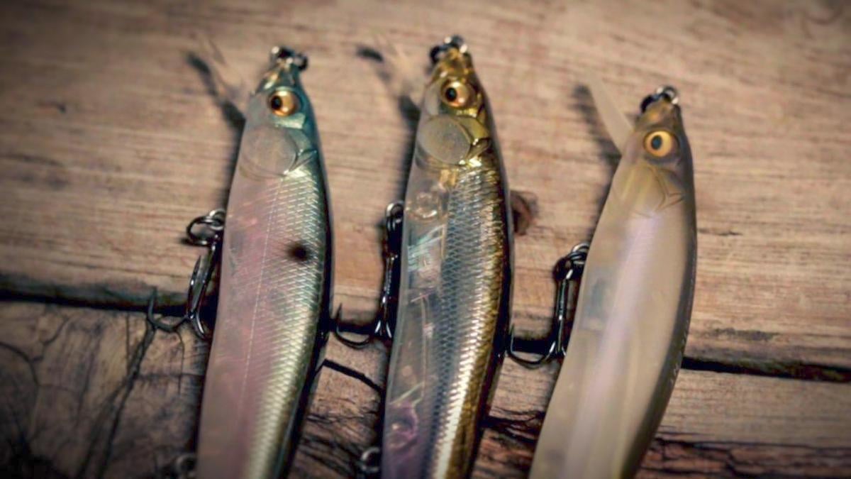 3 Jerkbait Color Selection Guidelines That Produce Wired2fish Com