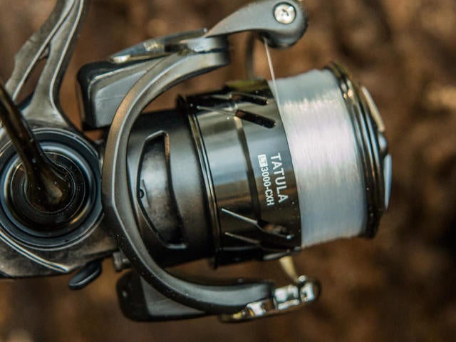 daiwa tatula 1000