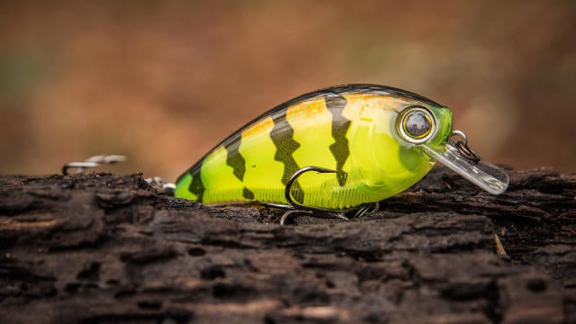 yo zuri crankbait