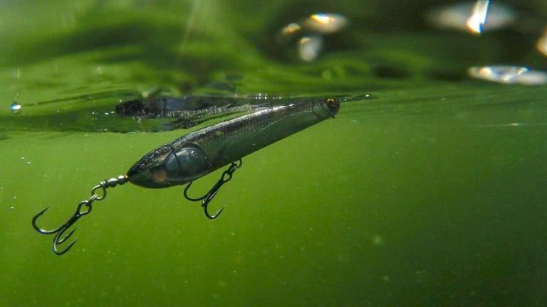 bass tactics b jig