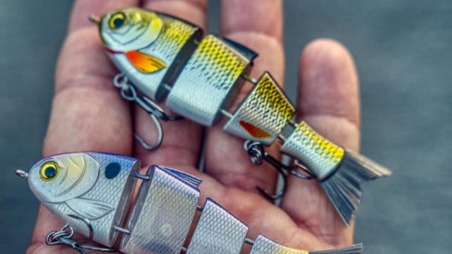 baby bull shad catch co