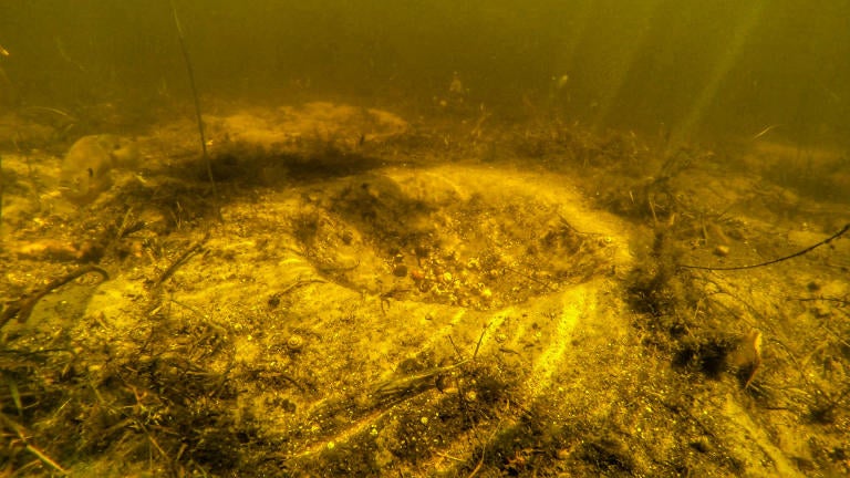 Bass Fishing Bluegill Beds Side Imaging and Shaky Head Bass Fishing Bluegill Beds Side Imaging and Shaky Head